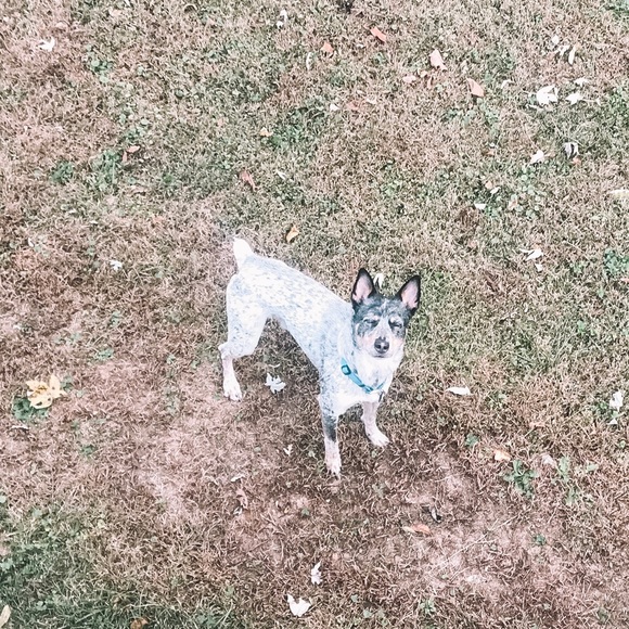 Sammi Bev - Picture 4 of 5